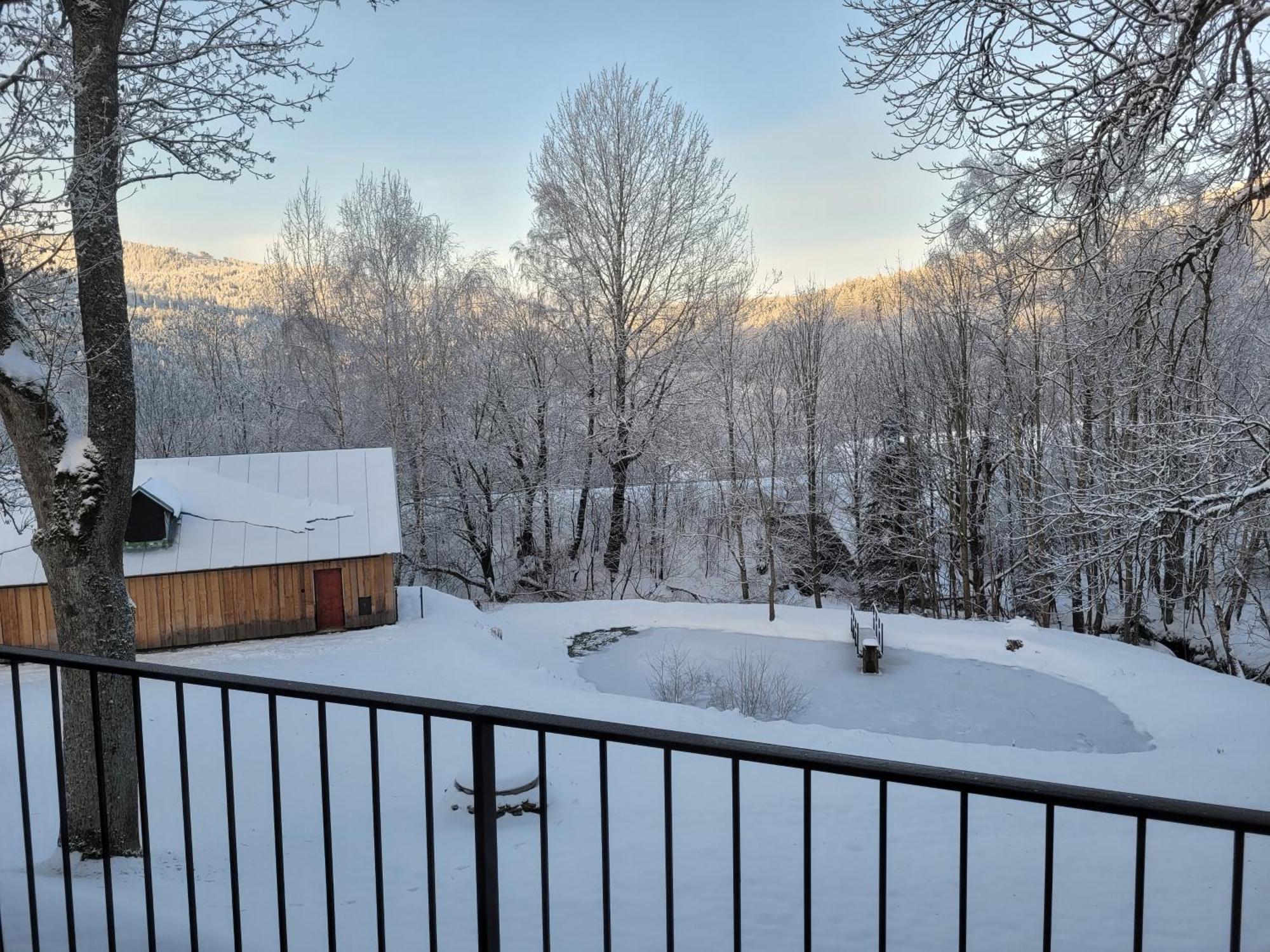 Apartman Berg Brcalnik Železná Ruda Exterior foto